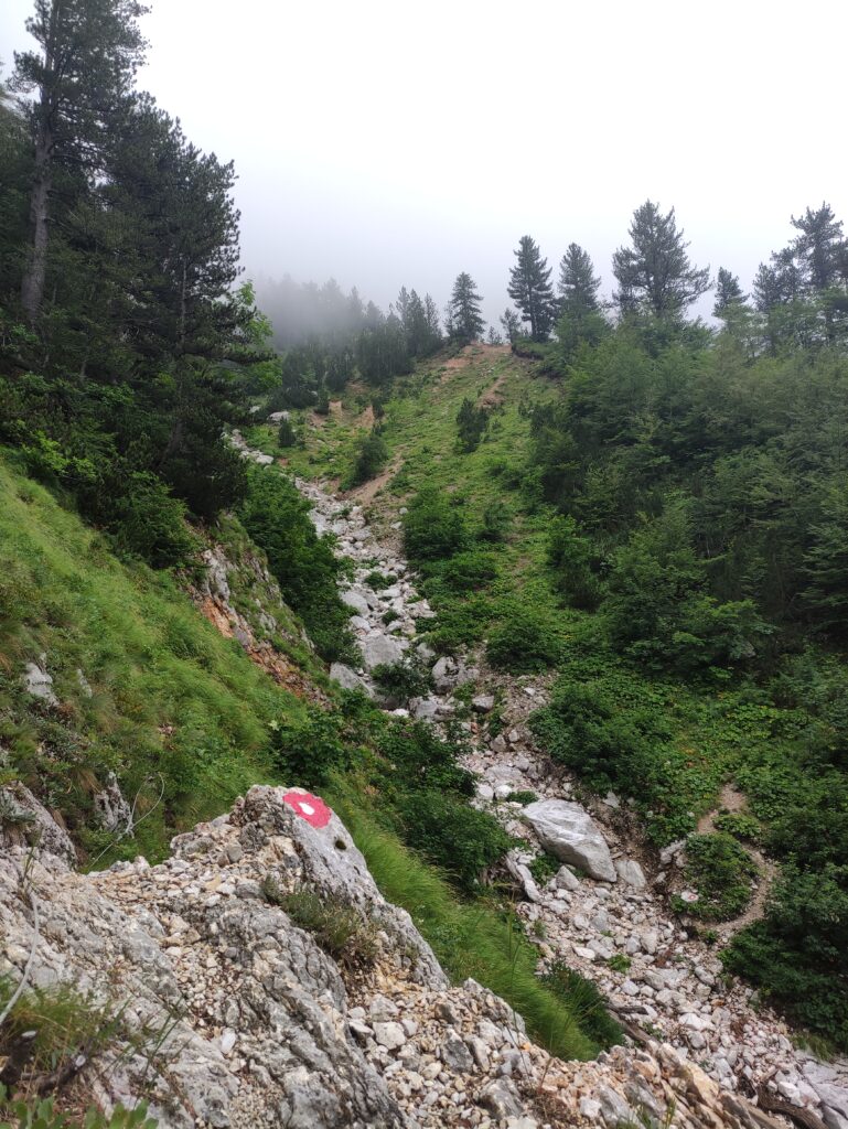 Bośniackie Himalaje – trekking w masywie Prenj